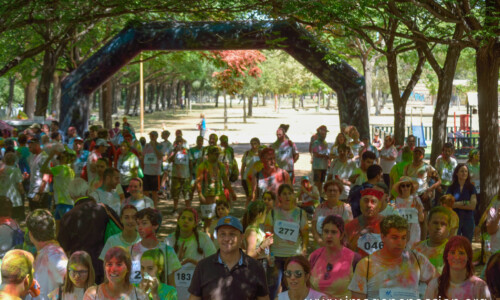 (c)Maria del Mar Molina Ruiz